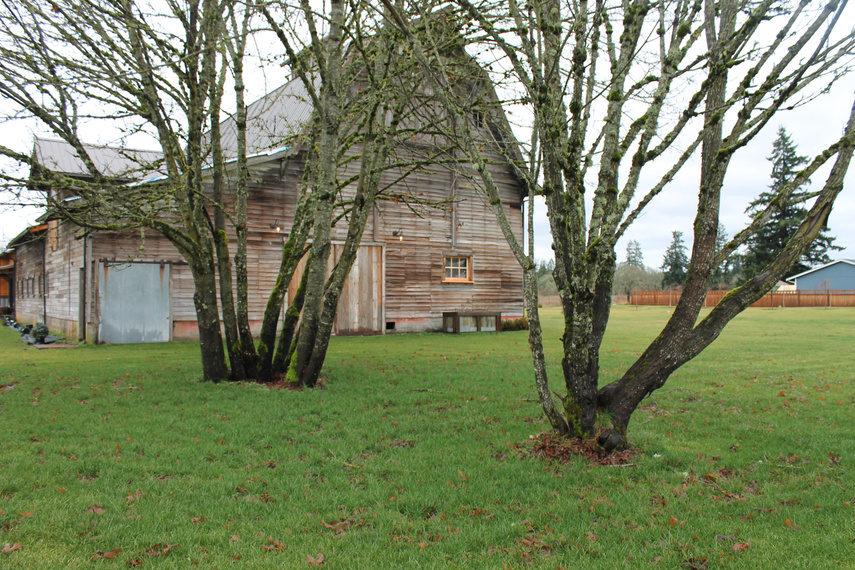 Trees in front of The Owls Nest Barn Event Venue