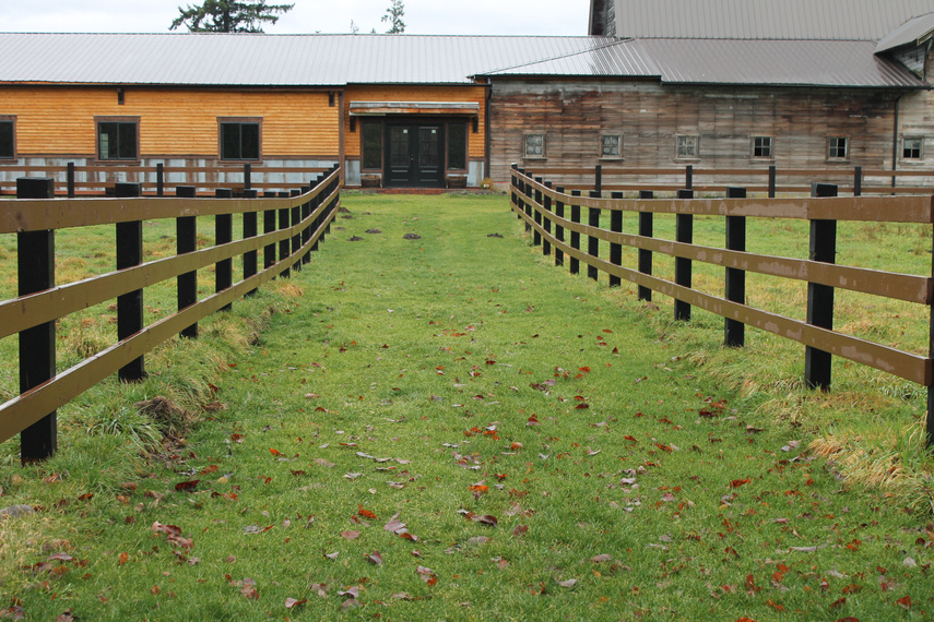 Walkway from Creek to Barn at The Owls Nest Barn Event Venue